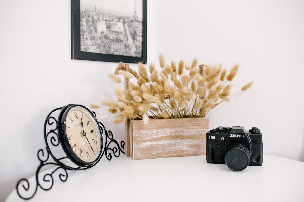 Elegant home decor featuring a vintage camera, clock, and dried flowers.